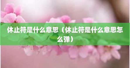 休止符是什么意思（休止符是什么意思怎么弹）