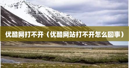 优酷网打不开（优酷网站打不开怎么回事）
