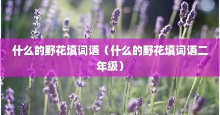 什么的野花填词语（什么的野花填词语二年级）