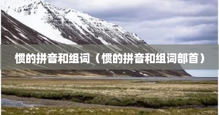 惯的拼音和组词（惯的拼音和组词部首）
