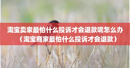淘宝卖家最怕什么投诉才会退款呢怎么办（淘宝商家最怕什么投诉才会退款）