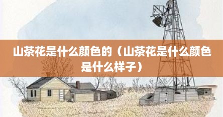 山茶花是什么颜色的（山茶花是什么颜色是什么样子）