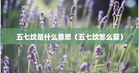 五七坟是什么意思（五七坟怎么算）