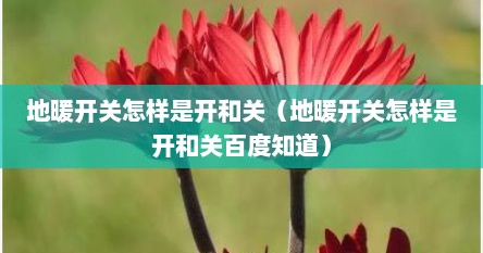 地暖开关怎样是开和关（地暖开关怎样是开和关百度知道）