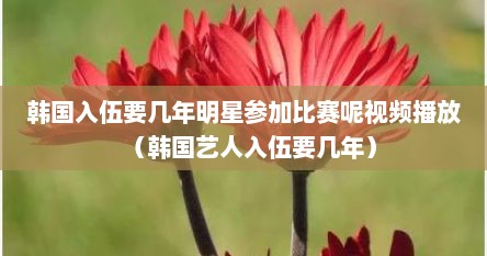 韩国入伍要几年明星参加比赛呢视频播放（韩国艺人入伍要几年）