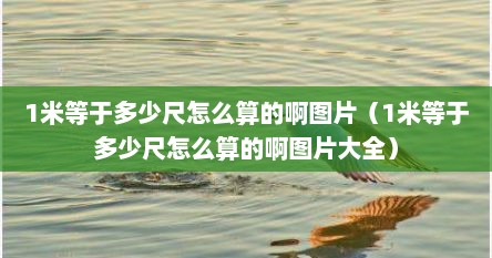 1米等于多少尺怎么算的啊图片（1米等于多少尺怎么算的啊图片大全）