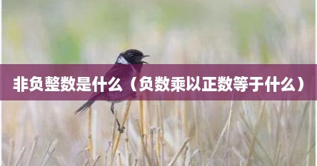 非负整数是什么（负数乘以正数等于什么）