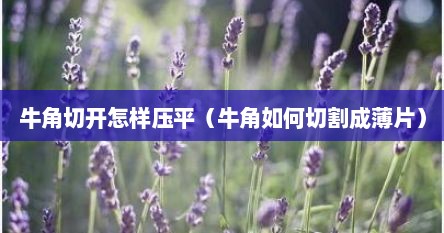 牛角切开怎样压平（牛角如何切割成薄片）