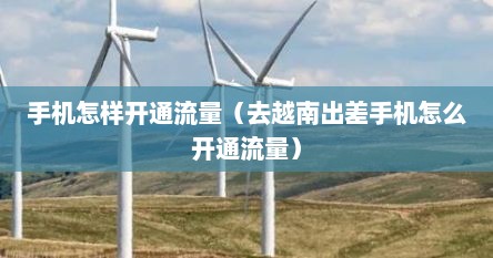 手机怎样开通流量（去越南出差手机怎么开通流量）
