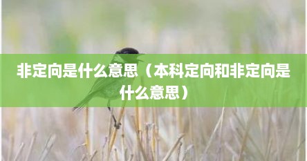 非定向是什么意思（本科定向和非定向是什么意思）