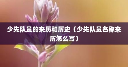 少先队员的来历和历史（少先队员名称来历怎么写）