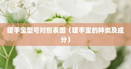 暖手宝型号对照表图（暖手宝的种类及成分）