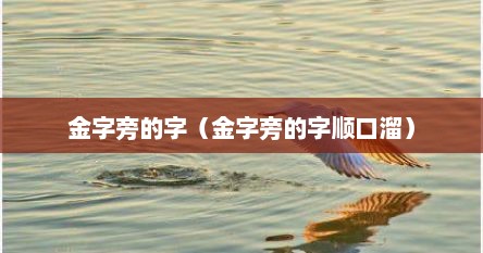 金字旁的字（金字旁的字顺口溜）