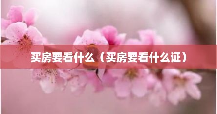 买房要看什么（买房要看什么证）