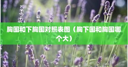 胸围和下胸围对照表图（胸下围和胸围哪个大）