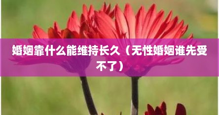 婚姻靠什么能维持长久（无性婚姻谁先受不了）