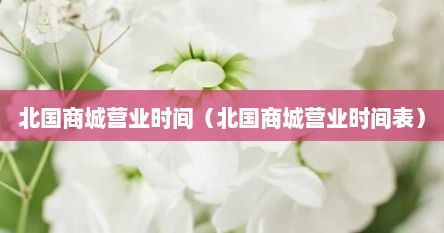 北国商城属于哪个集团（北国商城哪年开业的）