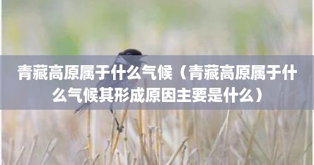 青藏高原属于什么气候（青藏高原属于什么气候其形成原因主要是什么）