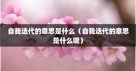 自我迭代的意思是什么（自我迭代的意思是什么呢）