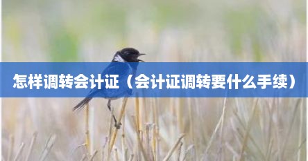 怎样调转会计证（会计证调转要什么手续）