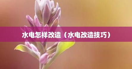 水电怎样改造（水电改造技巧）