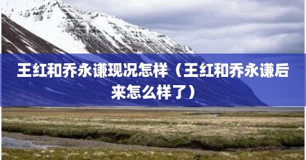 王红和乔永谦现况怎样（王红和乔永谦后来怎么样了）