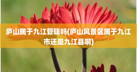 庐山属于九江管辖吗(庐山风景区属于九江市还是九江县啊)