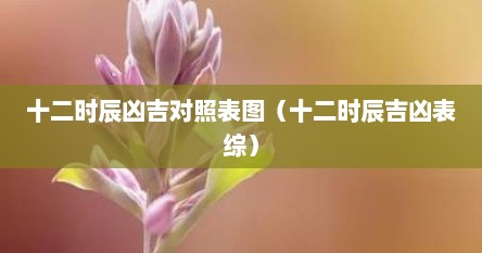 十二时辰凶吉对照表图（十二时辰吉凶表综）