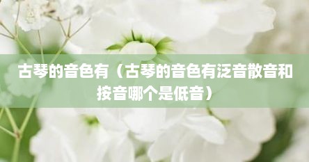 古琴的音色有（古琴的音色有泛音散音和按音哪个是低音）