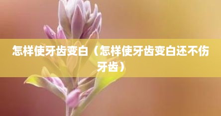 怎样使牙齿变白（怎样使牙齿变白还不伤牙齿）