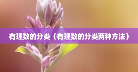 有理数的分类（有理数的分类两种方法）
