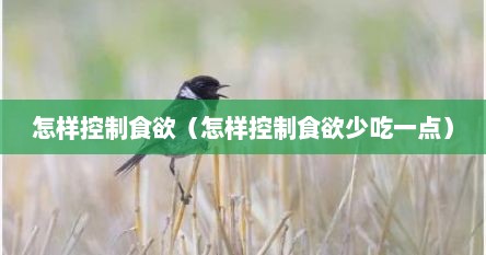 怎样控制食欲（怎样控制食欲少吃一点）