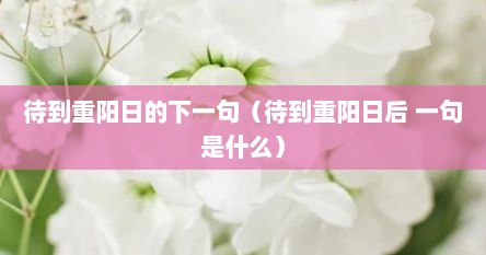 待到重阳日的下一句（待到重阳日后 一句是什么）