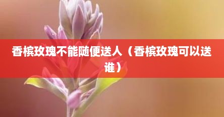 香槟玫瑰不能随便送人（香槟玫瑰可以送谁）