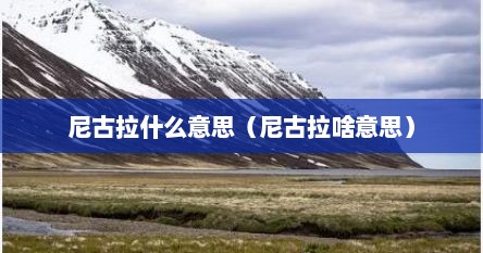 尼古拉什么意思（尼古拉啥意思）