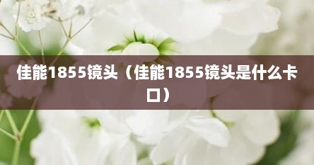 佳能1855镜头（佳能1855镜头是什么卡口）