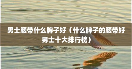 男士腰带什么牌子好（什么牌子的腰带好男士十大排行榜）