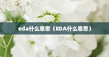 eda什么意思（EDA什么意思）