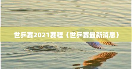 世乒赛2021赛程（世乒赛最新消息）