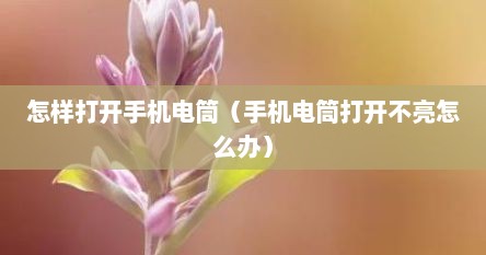 怎样打开手机电筒（手机电筒打开不亮怎么办）