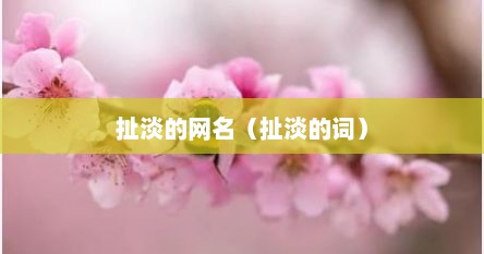 扯淡的网名（扯淡的词）