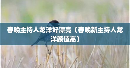 春晚主持人龙洋好漂亮（春晚新主持人龙洋颜值高）