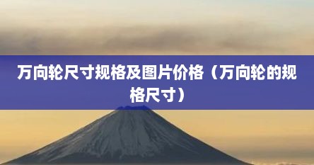 万向轮尺寸规格及图片价格（万向轮的规格尺寸）