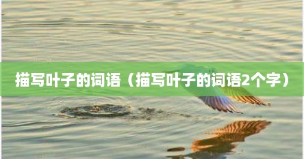 描写叶子的词语（描写叶子的词语2个字）