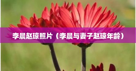 李晨赵琼照片（李晨与妻子赵琼年龄）