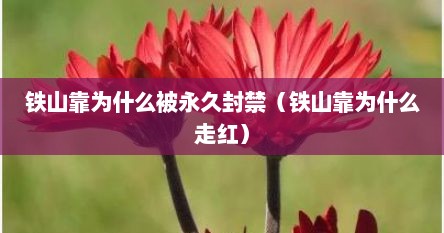 铁山靠为什么被永久封禁（铁山靠为什么走红）