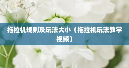 拖拉机规则及玩法大小（拖拉机玩法教学视频）
