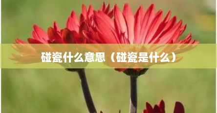 碰瓷什么意思（碰瓷是什么）