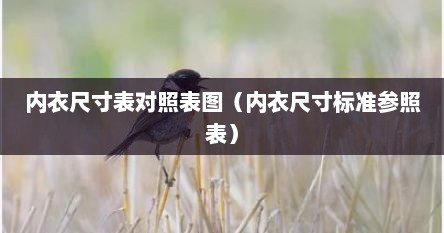 内衣尺寸表对照表图（内衣尺寸标准参照表）