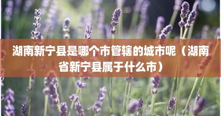 湖南新宁县是哪个市管辖的城市呢（湖南省新宁县属于什么市）